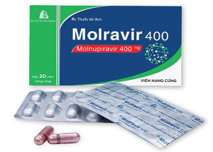 Giá Thuốc Molnupiravir Dự Kiến 300.000 Đồng Một Hộp